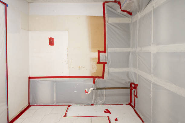 Environmental Consulting for Mold Prevention