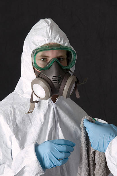 Mold Odor Removal Services in Pine Castle, FL